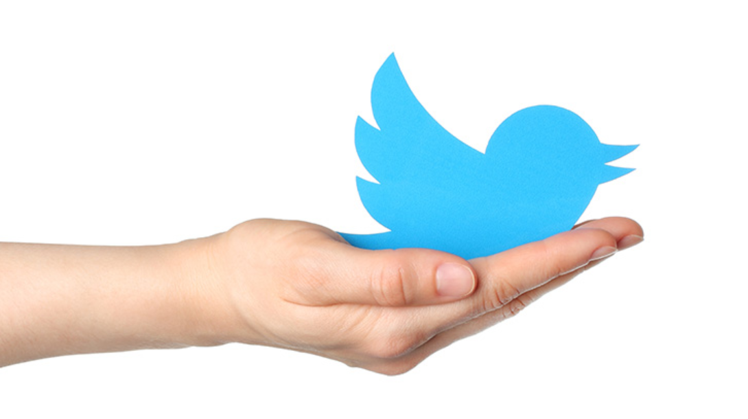 How to Use Twitter to Skyrocket Your Search Engine Rankings